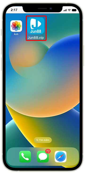 b6-146x300